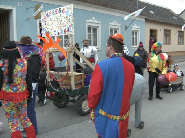 Narrentreiben 2011 (Fotos Robert Bayer)