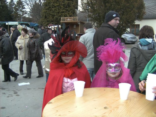 Narrentreiben 2011 (Fotos Robert Bayer)