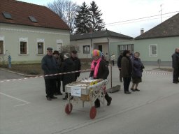 Narrentreiben 2011 (Fotos Robert Bayer)