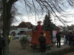 Narrentreiben 2011 (Fotos Robert Bayer)