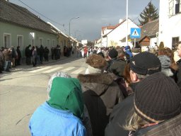 Narrentreiben 2011 (Fotos Robert Bayer)