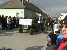 Narrentreiben 2011 (Fotos Robert Bayer)