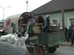 Narrentreiben 2011 (Fotos Robert Bayer)