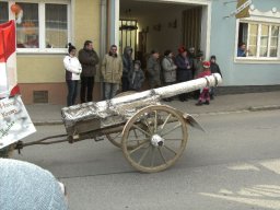 Narrentreiben 2011 (Fotos Robert Bayer)