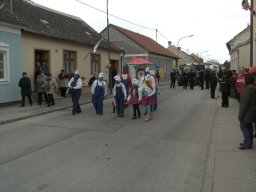 Narrentreiben 2011 (Fotos Robert Bayer)