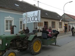 Narrentreiben 2011 (Fotos Robert Bayer)