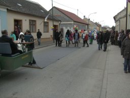 Narrentreiben 2011 (Fotos Robert Bayer)