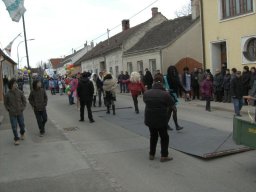 Narrentreiben 2011 (Fotos Robert Bayer)