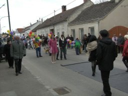 Narrentreiben 2011 (Fotos Robert Bayer)