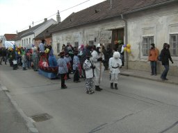 Narrentreiben 2011 (Fotos Robert Bayer)