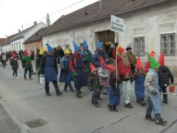 Narrentreiben 2011 (Fotos Robert Bayer)