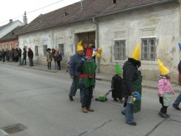 Narrentreiben 2011 (Fotos Robert Bayer)