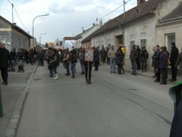 Narrentreiben 2011 (Fotos Robert Bayer)