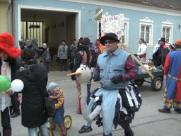 Narrentreiben 2011 (Fotos Robert Bayer)