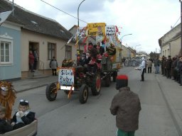 Narrentreiben 2011 (Fotos Robert Bayer)