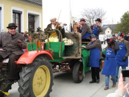 Narrentreiben 2011 (Fotos G. Obermann)