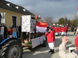 Narrentreiben 2011 (Fotos G. Obermann)