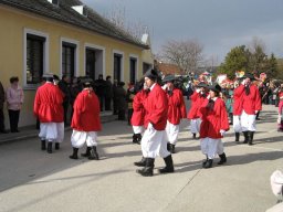 Narrentreiben 2011 (Fotos G. Obermann)