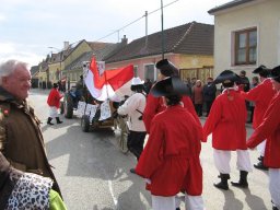 Narrentreiben 2011 (Fotos G. Obermann)