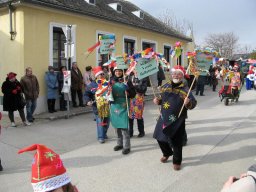 Narrentreiben 2011 (Fotos G. Obermann)