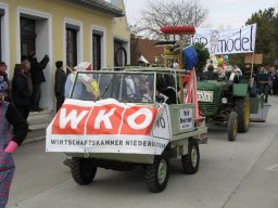 Narrentreiben 2011 (Fotos G. Obermann)