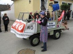 Narrentreiben 2011 (Fotos G. Obermann)