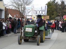 Narrentreiben 2011 (Fotos G. Obermann)