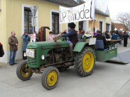 Narrentreiben 2011 (Fotos G. Obermann)