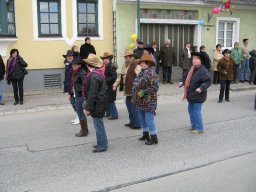 Narrentreiben 2011 (Fotos G. Obermann)