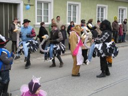 Narrentreiben 2011 (Fotos G. Obermann)