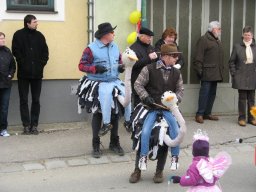 Narrentreiben 2011 (Fotos G. Obermann)