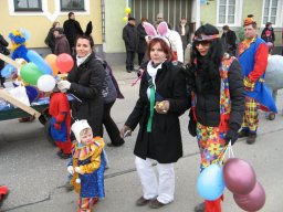 Narrentreiben 2011 (Fotos G. Obermann)