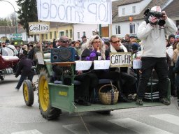 Narrentreiben 2011 (Fotos G. Obermann)