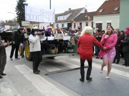 Narrentreiben 2011 (Fotos G. Obermann)