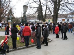 Narrentreiben 2011 (Fotos G. Obermann)