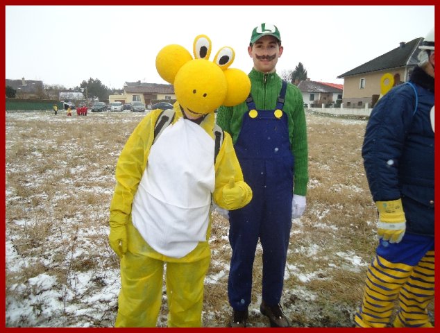 Narrentreiben 2013 (Fotos Franz Amon)