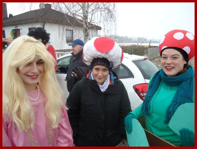 Narrentreiben 2013 (Fotos Franz Amon)