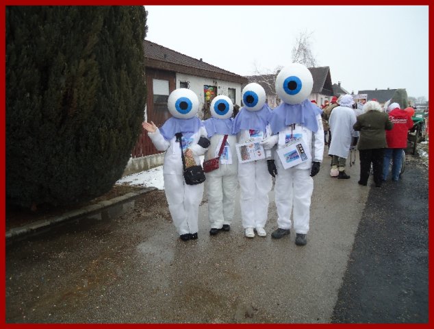 Narrentreiben 2013 (Fotos Franz Amon)