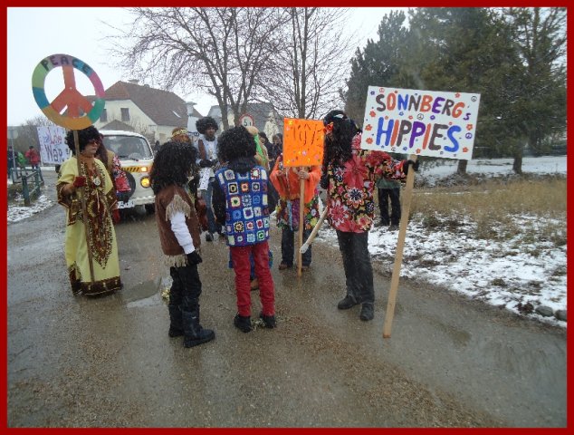 Narrentreiben 2013 (Fotos Franz Amon)