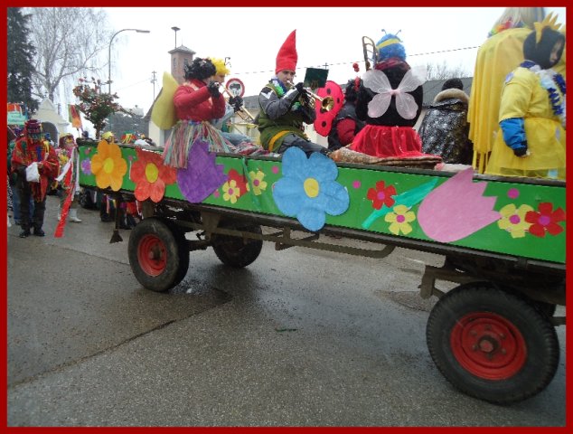 Narrentreiben 2013 (Fotos Franz Amon)