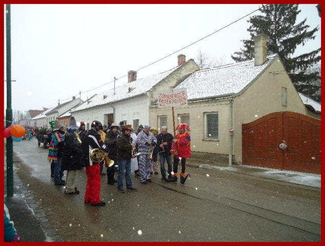 Narrentreiben 2013 (Fotos Franz Amon)