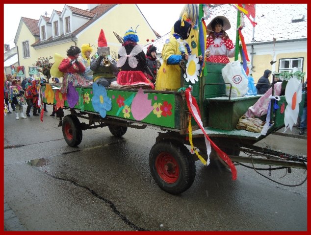 Narrentreiben 2013 (Fotos Franz Amon)