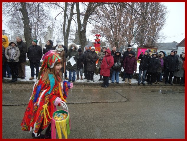 Narrentreiben 2013 (Fotos Franz Amon)