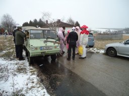 Narrentreiben 2013 (Fotos Franz Amon)