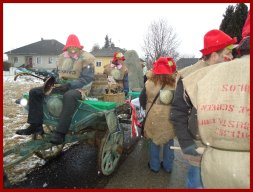 Narrentreiben 2013 (Fotos Franz Amon)