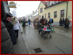 Narrentreiben 2013 (Fotos Franz Amon)