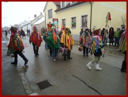 Narrentreiben 2013 (Fotos Franz Amon)