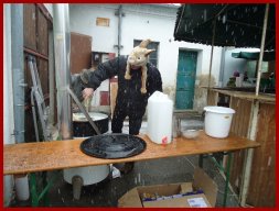 Narrentreiben 2013 (Fotos Franz Amon)