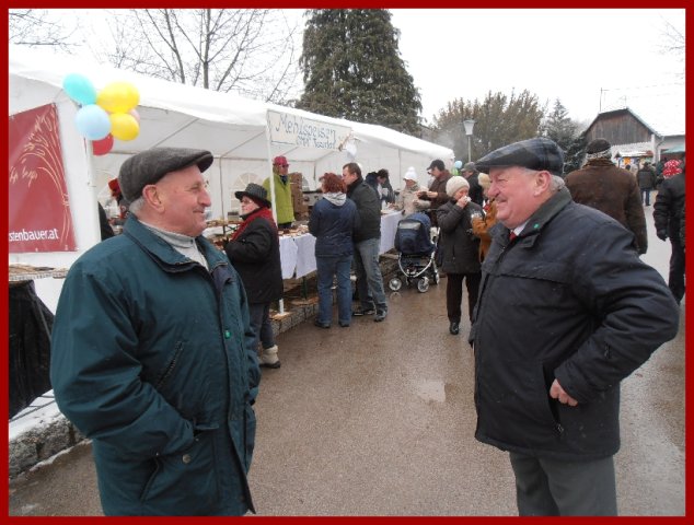 Narrentreiben 2013 (Fotos Robert Bayer)