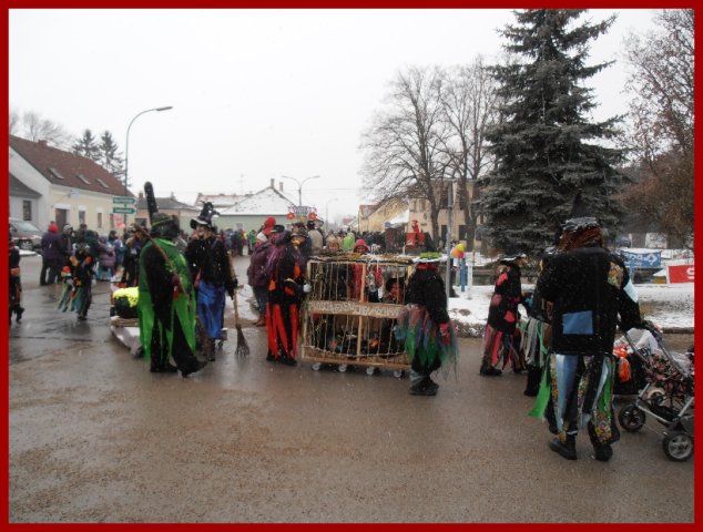 Narrentreiben 2013 (Fotos Robert Bayer)